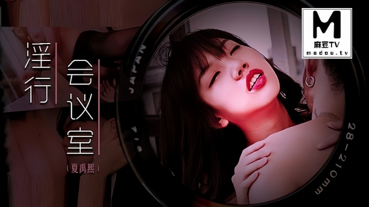 【夏禹】 MDWP0023 淫行会议室